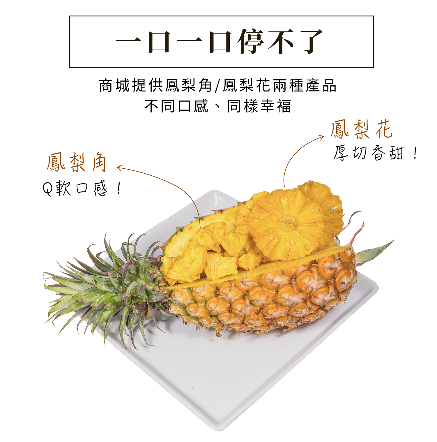 鳳梨花果甘+鳳梨角果甘-Ainonix艾洛怩思